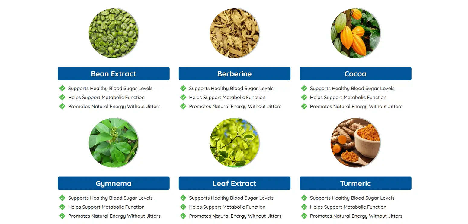 Gluco Extend Blood Sugar Support supplement facts label and dosage information