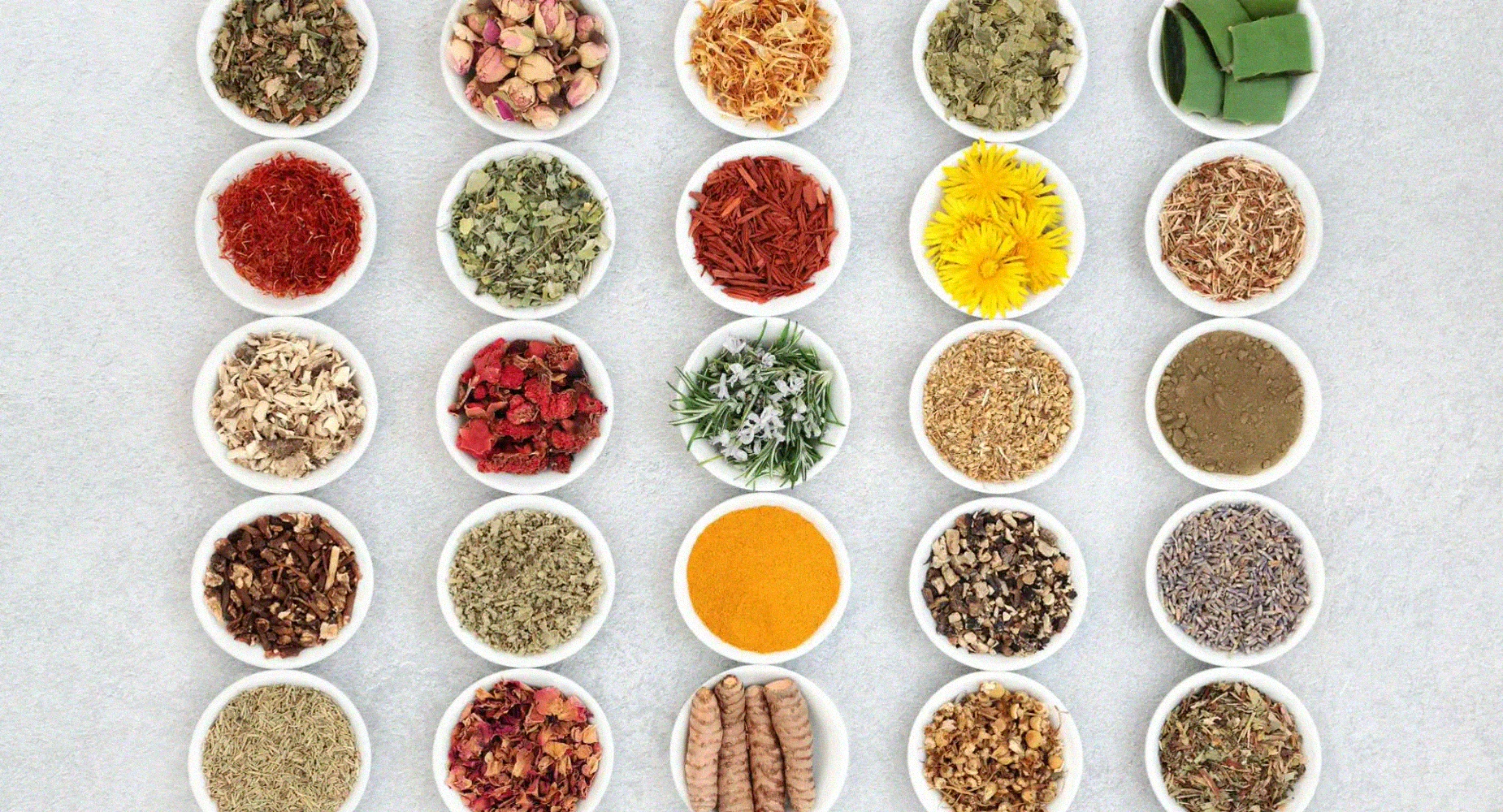 Member XXL Inhaltsstoffe pflanzlich – Ginseng, Saffron, Magnolia, Schwarzer Pfeffer