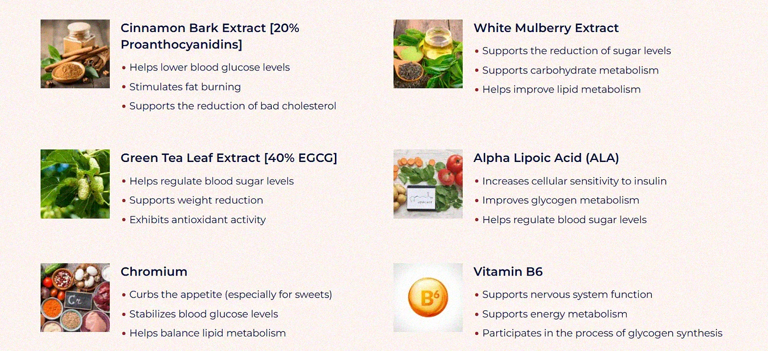 Natural ingredients including bitter melon, gymnema leaves, cinnamon and pumpkin seeds used in NuviaLab Sugar Control