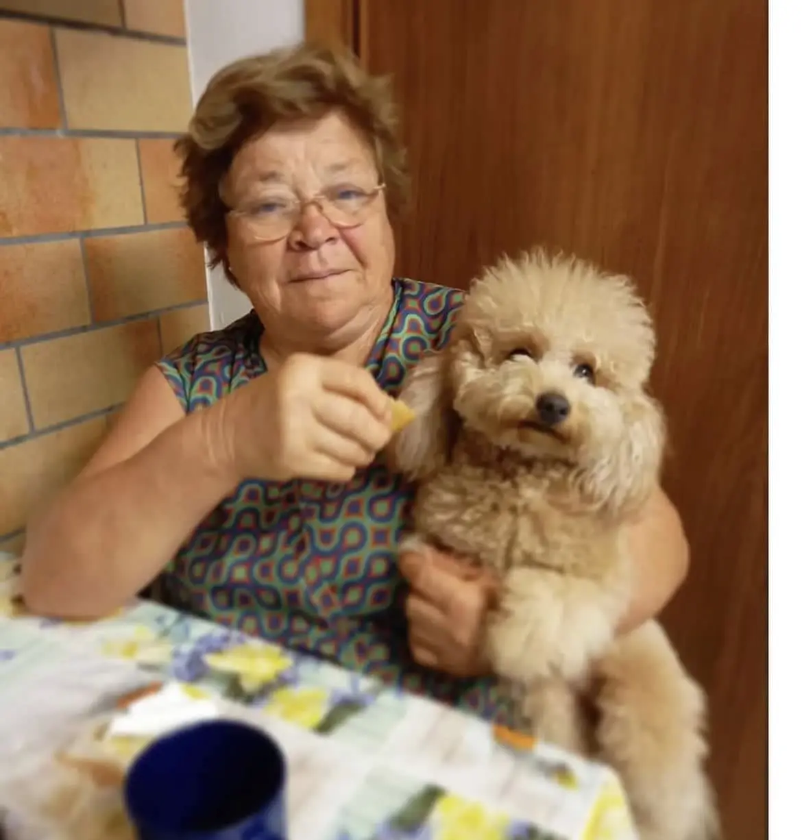 Recenzie femeie senior pentru îngrijirea articulațiilor